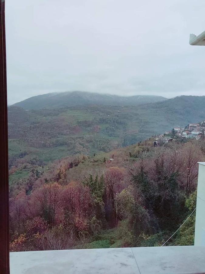 Evridiki Hotell Zagorá Eksteriør bilde